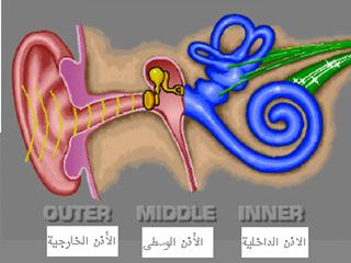 عندمـــا تتحدث الاذن !! Hebat-malek.comcc7d100c15